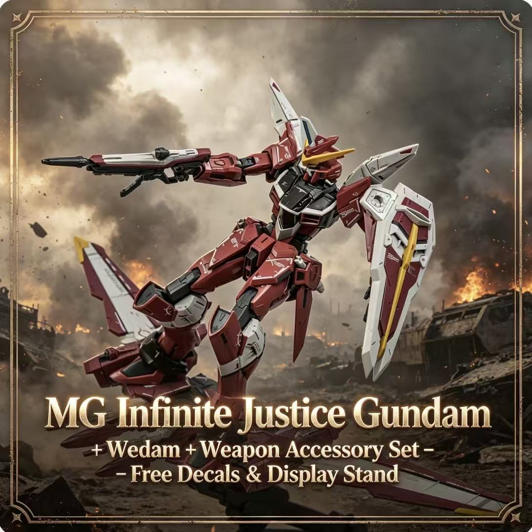 X09A MG CHENGSHUN MG 1/100 Zgm - огляд і ціна Model Kit Code Geass